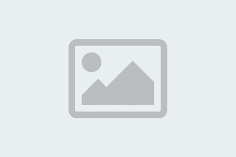 Catering Assistant