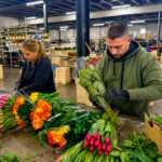 Flower Packing Worker – Netherlands | €17/h | Flower Wholesale Job near Amsterdam