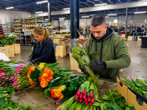 Flower Packing Worker – Netherlands | €17/h | Flower Wholesale Job near Amsterdam