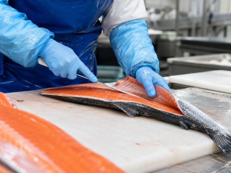 Fish Processing Worker job in Faroe Islands