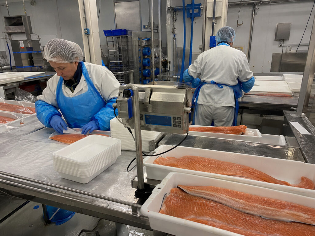 Salmon Packing and Production Worker Sweden – Gothenburg | 1…