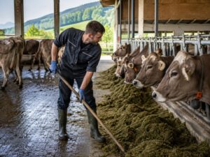 Dairy Farm Worker / Milker Switzerland – Langnau im Emmental, Canton of Bern | 4,200–4,600 CHF/hour